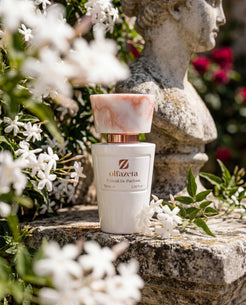 White bottle Olfazeta by Chogan Millésime N°14 on stone, jasmine in bloom and an antique bust in the background